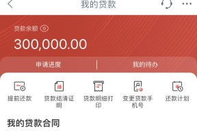 网贷平台借款是否必须偿还？法律与信用全解析
